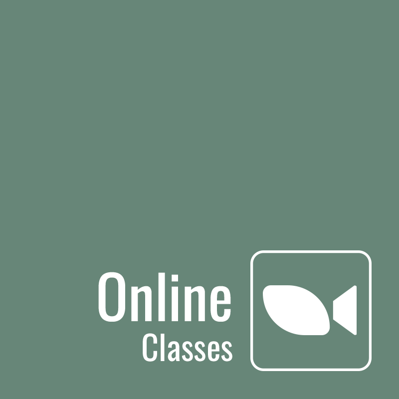 Online Classes