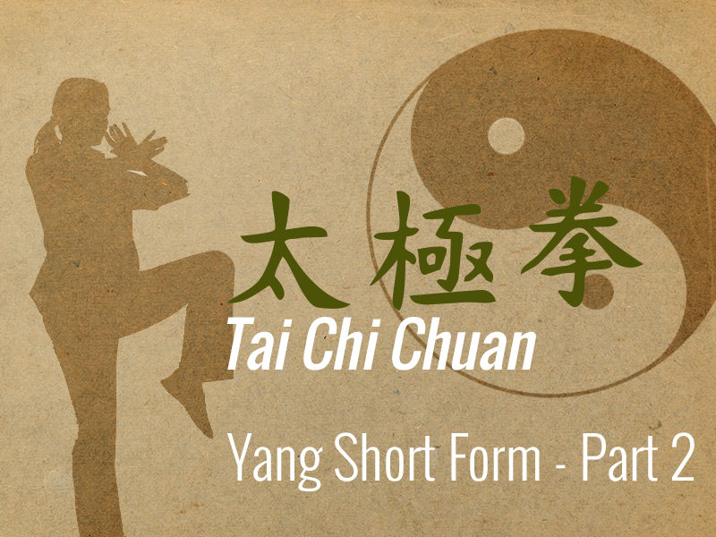 Yang Tai Chi Short Form - Part 2